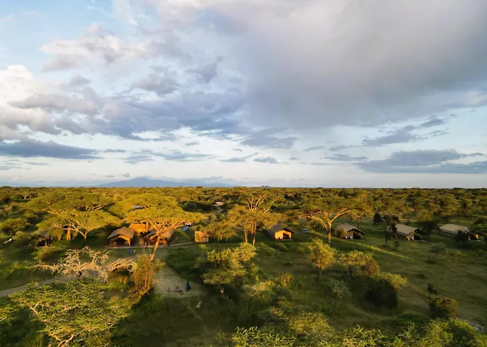 Africa Safari South Serengeti Ndutu Camping