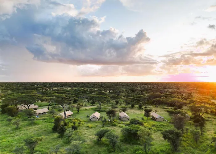Africa Safari South Serengeti Ndutu Camping