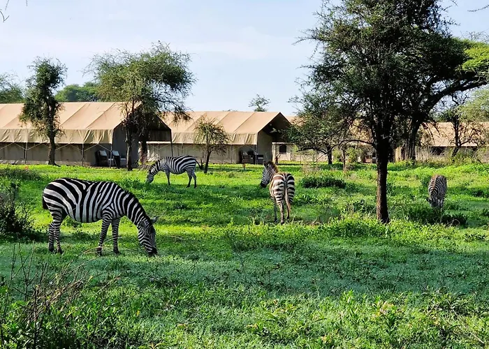 Africa Safari South Serengeti Ndutu Camping