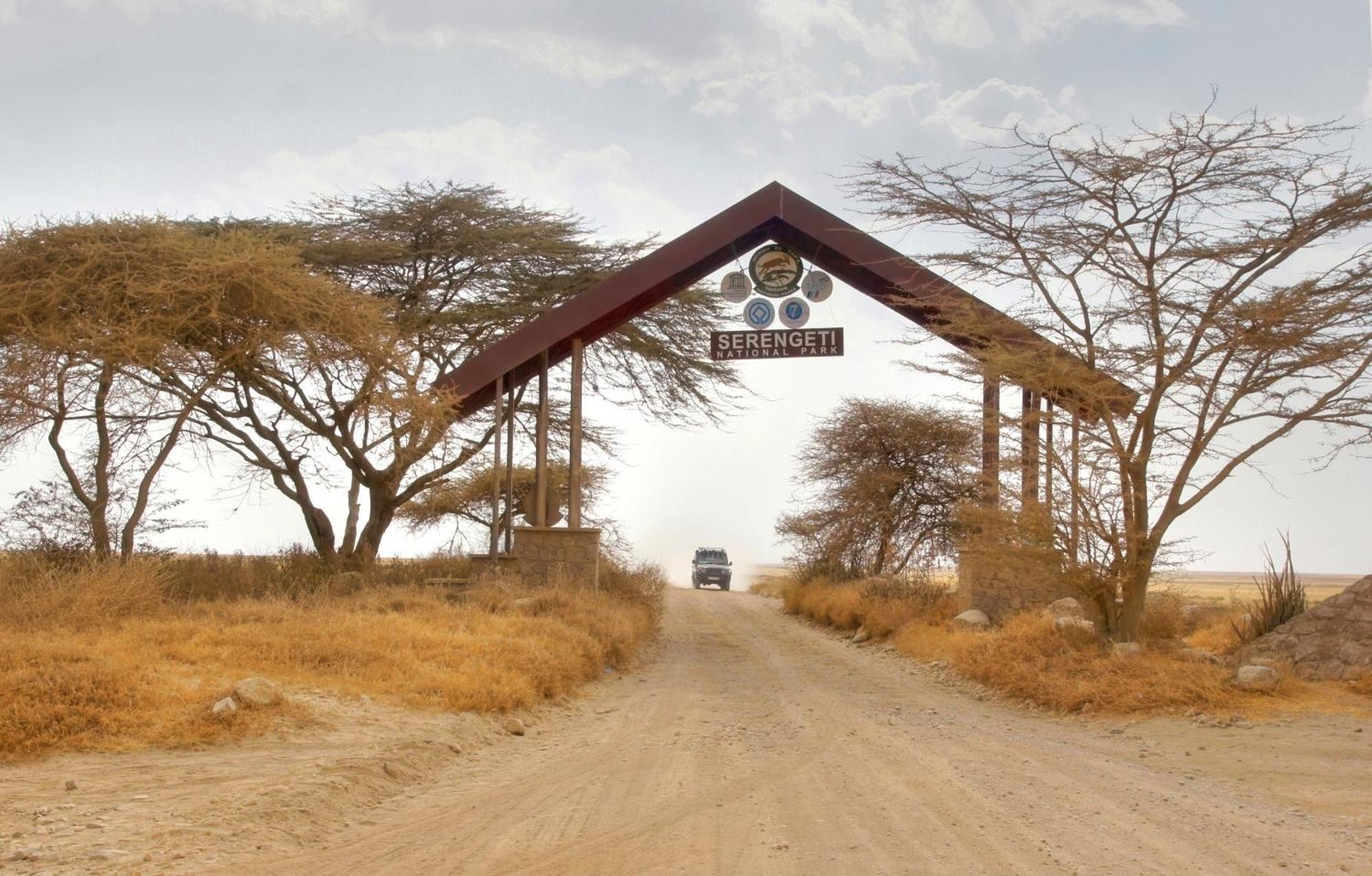 Africa Safari South Serengeti Ndutu Camping