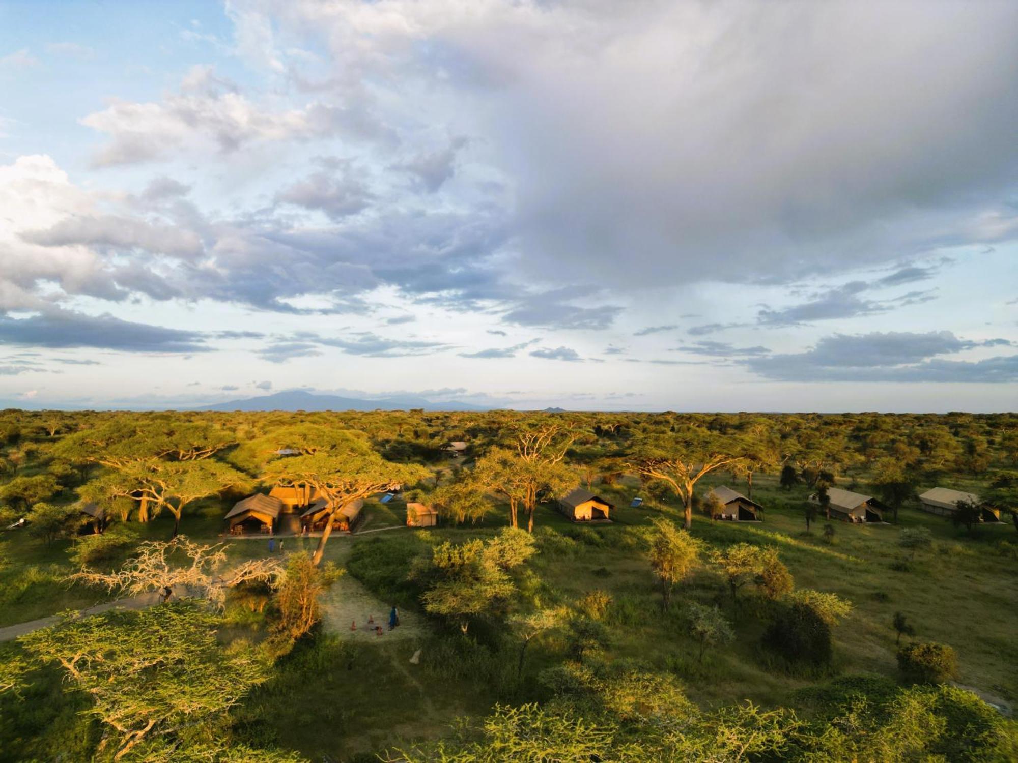 Africa Safari South Serengeti Ndutu Camping Sinoni