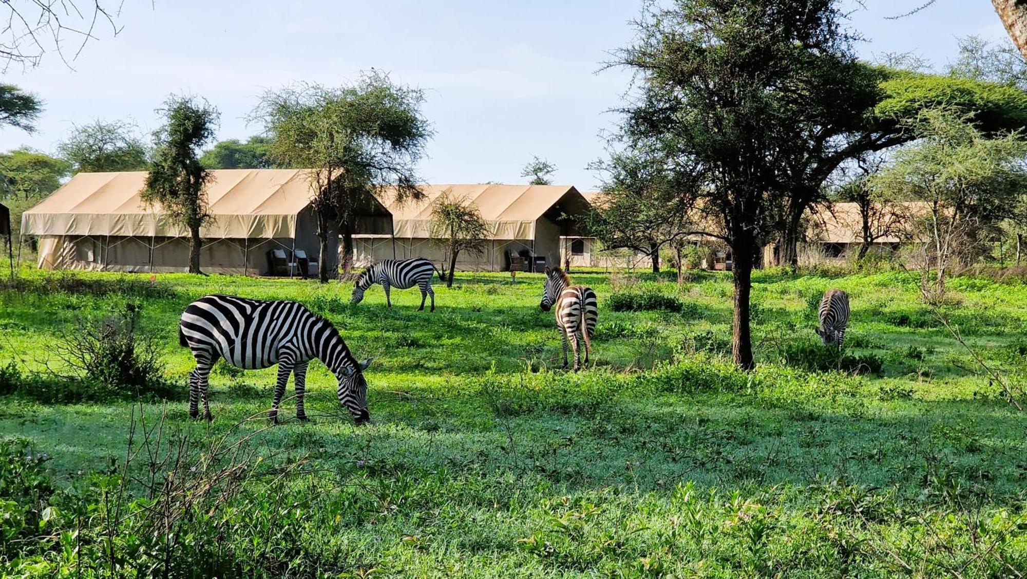 Camping Africa Safari South Serengeti Ndutu Sinoni